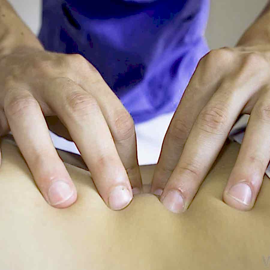 SHİATSU Masaj Kursu