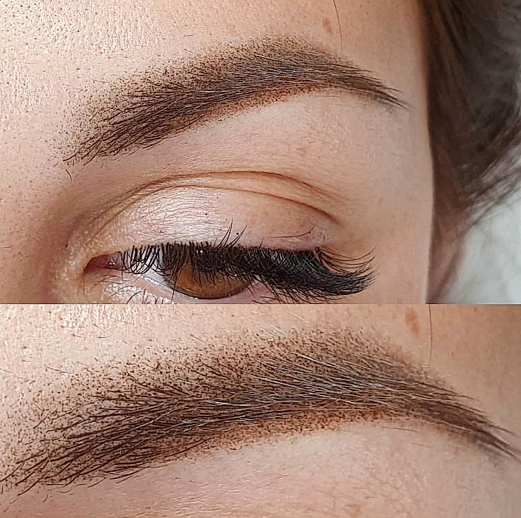 Master Training (Ombre Eyebrows)